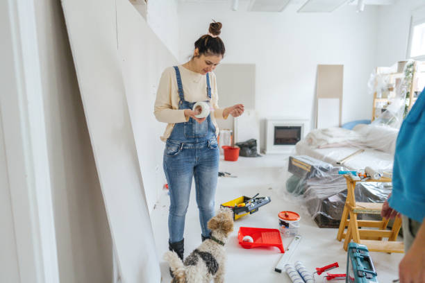 Best Drywall Installation  in Osage, IA