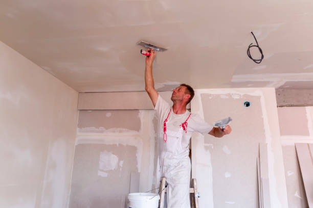 Best Drywall Sanding and Smoothing  in Osage, IA